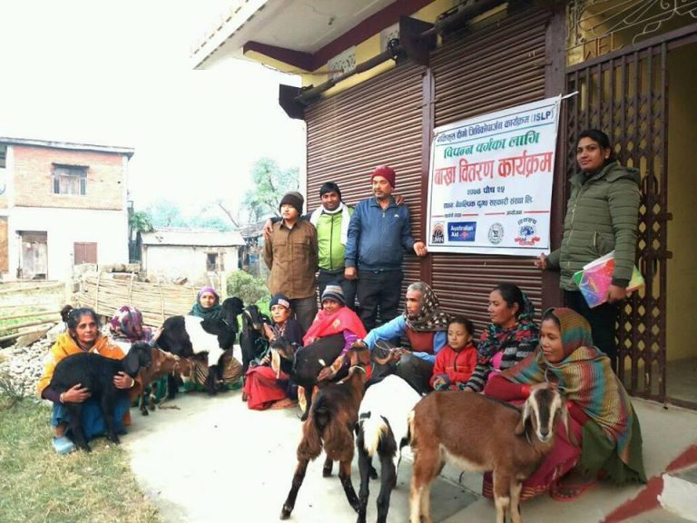 विपन्न वर्गका लागि बाख्रा वितरण