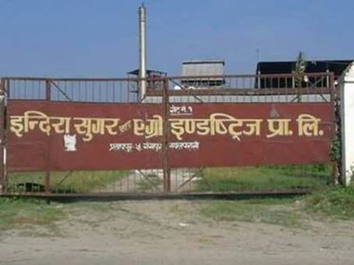 उखु किसानको आशा – भुक्तानी र अनुदानको प्रतीक्षा