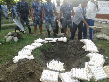 भारतीय नाकामा अण्डा बरामद, तस्कर संधै झै यस पटक पनि फरार