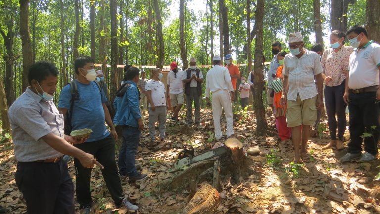 मौलाकालिका मन्दिरमा केवलकार निर्माण हुने, रुख कटानको काम सुरु