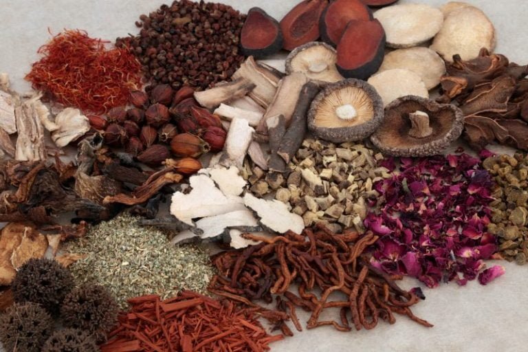 नवलपरासीमा भारी मात्रामा अवैध जडिबुटी बरामद