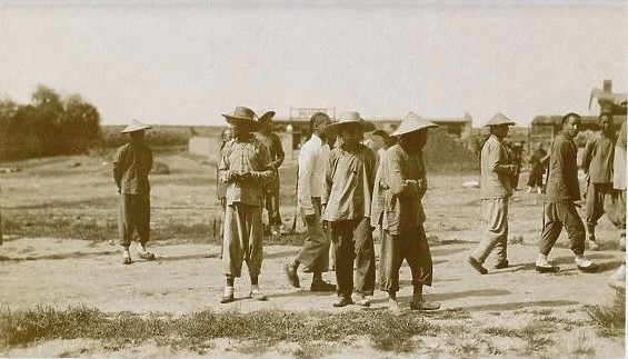 चिनियाँ सरकारद्वारा जेलमा रहेका उइघुरहरूलाई जबरजस्ती खेतबारीमा श्रम गराइँदै