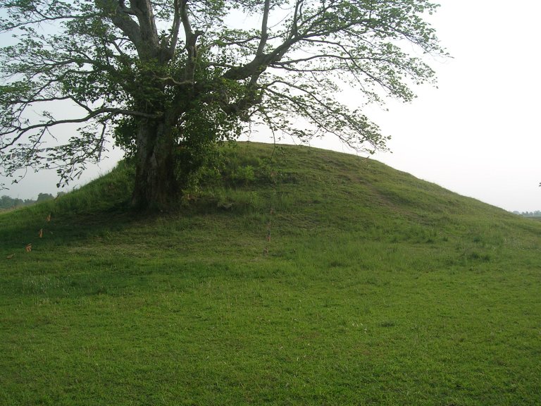 रामग्राम स्तुपा लीजमा दिने प्रकृयाकाे स्थानीयद्वारा विराेध