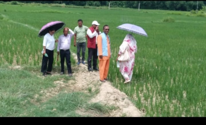 थारु मिलन केन्द्रद्वारा भुमिहीनका लागि खरिद गरिएको जग्गाको स्थलगत अवलोकन